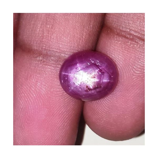 7.94 Carats Kenya Mines Star Ruby 11.40x10.14x6.07 mm