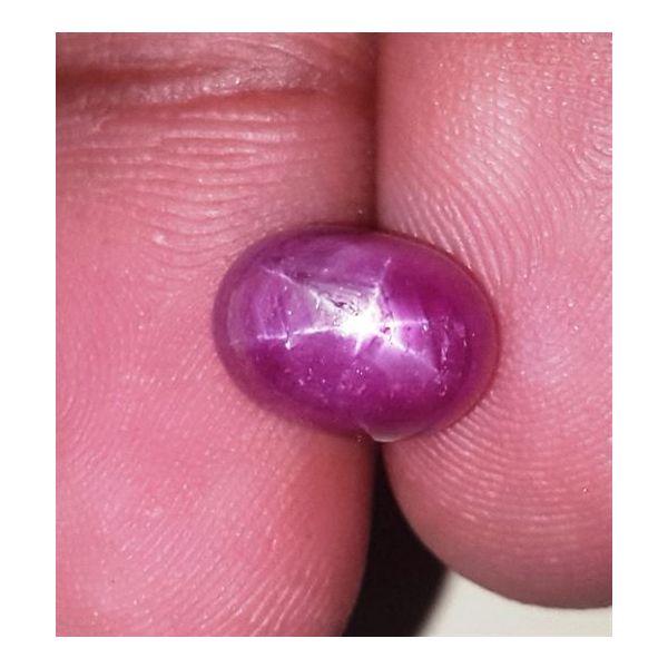 5.53 Carats Kenya Mines Star Ruby 10.01x7.29x6.36 mm