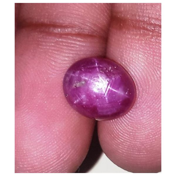 6.89 Carats Kenya Mines Star Ruby 10.53x8.89x6.42 mm