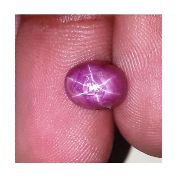 3.9 Carats Kenya Mines Star Ruby 8.32x6.40x6.35 mm