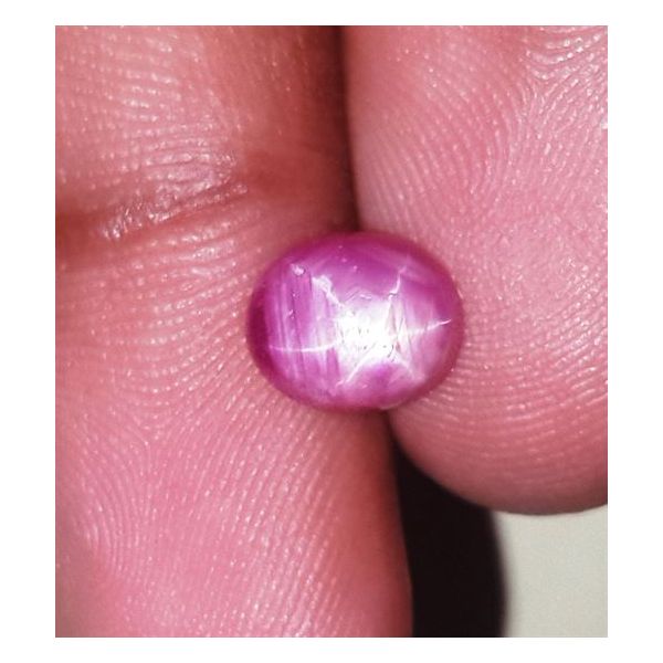 2.38 Carats Kenya Mines Star Ruby 8.05x6.80x3.90 mm