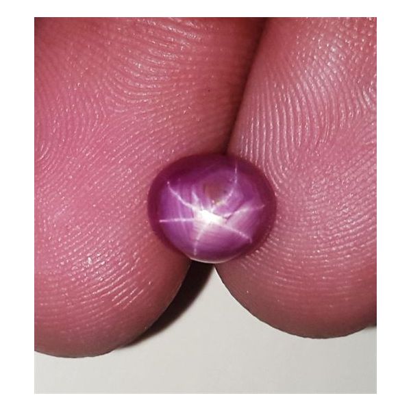 3.23 Carats Kenya Mines Star Ruby 7.80x6.67x5.32 mm