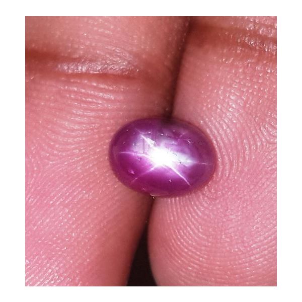 2.62 Carats Kenya Mines Star Ruby 8.03x5.96x4.62 mm