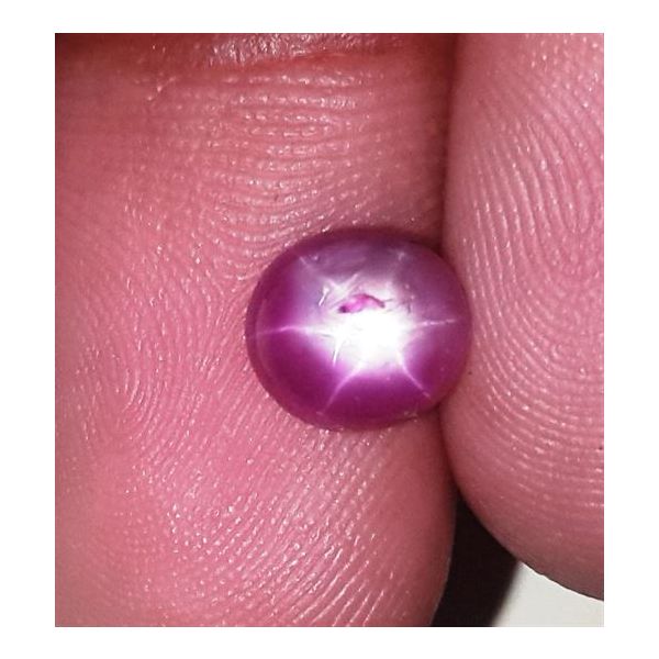 2.41 Carats Kenya Mines Star Ruby 7.28x6.73x4.23 mm