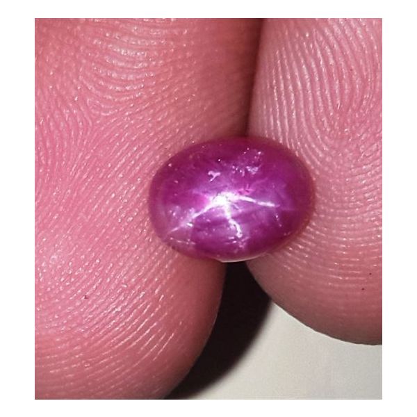 2.64 Carats Kenya Mines Star Ruby 8.07x6.05x4.52 mm