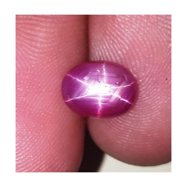 2.63 Carats Kenya Mines Star Ruby 8.07x6.23x4.30 mm