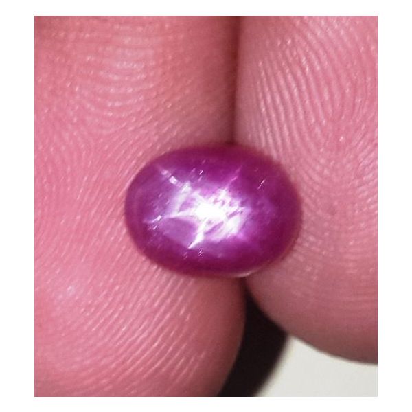 2.69 Carats Kenya Mines Star Ruby 8.11x6.21x4.38 mm