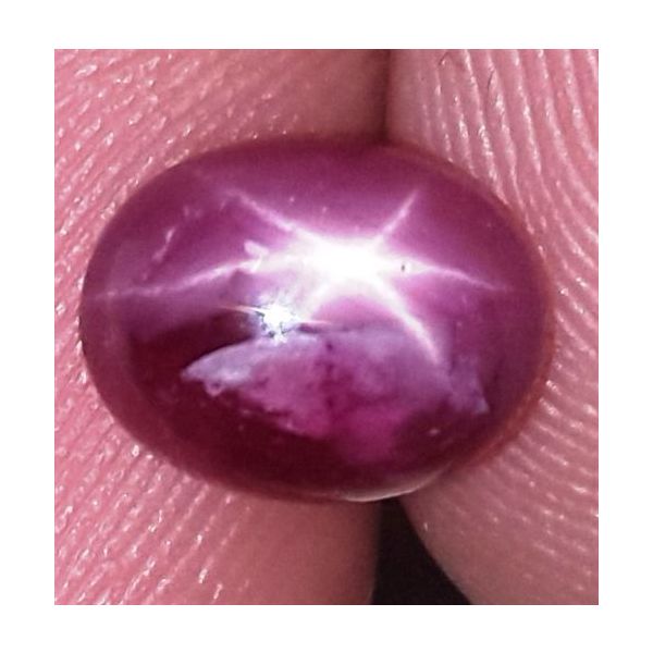 2.44 Carats Kenya Mines Star Ruby 7.97x6.23x4.33 mm