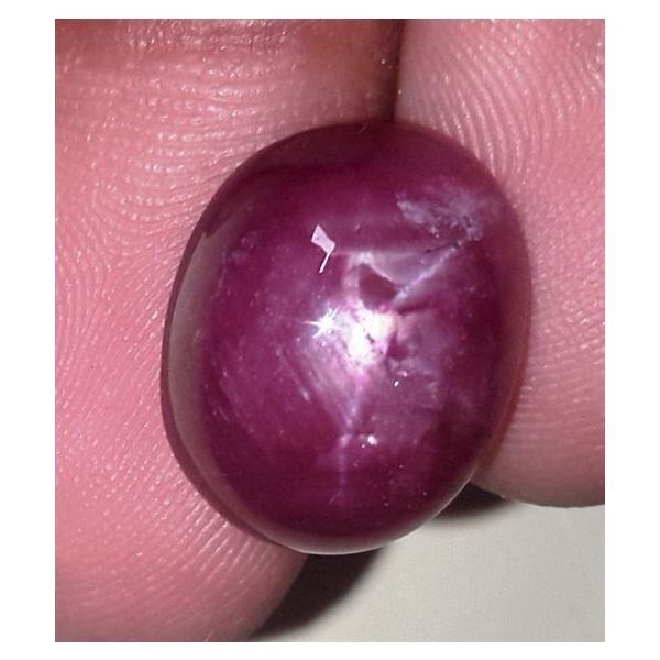 15.77 Carats African Star Ruby 15.40x12.29x7.38 mm