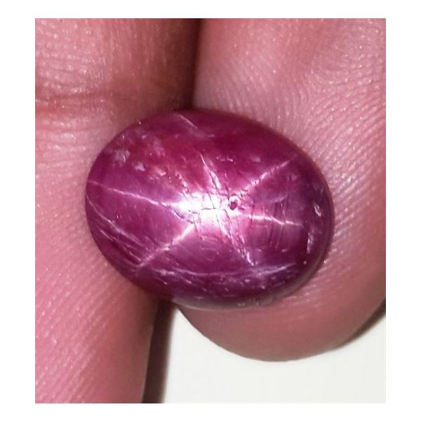 7.52 Carats African Star Ruby 13.67x10.79x4.71 mm