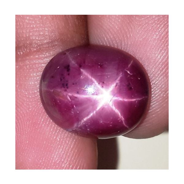 15.71 Carats African Star Ruby 14.95x12.61x7.49 mm