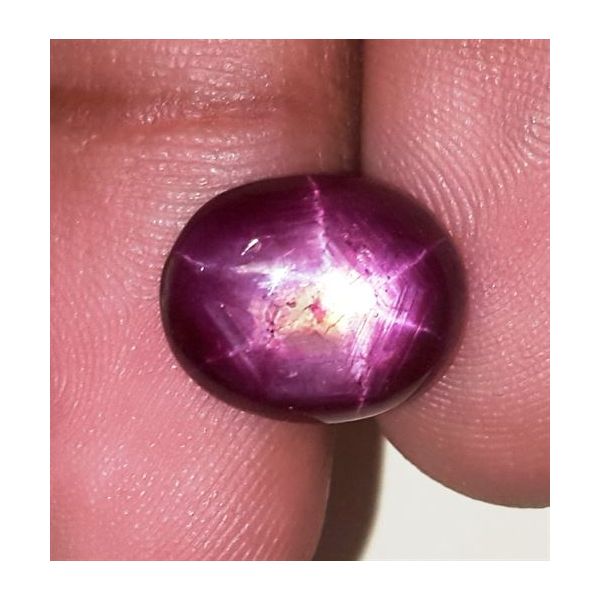 7.39 Carats African Star Ruby 12.55x10.23x4.84 mm