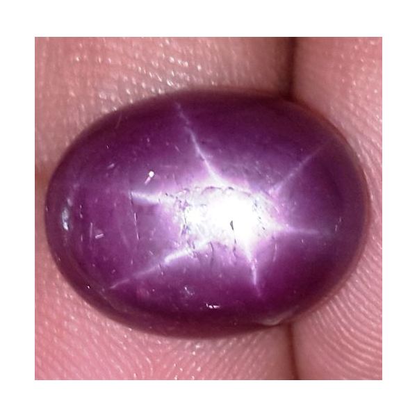 13.55 Carats African Star Ruby 14.57x11.40x7.07 mm