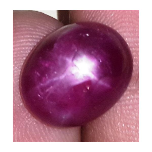 10.2 Carats African Star Ruby 13.55x10.99x6.30 mm