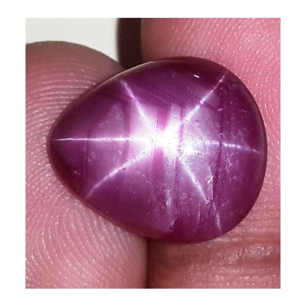 12.82 Carats African Star Ruby 15.01x13.06x6.31 mm