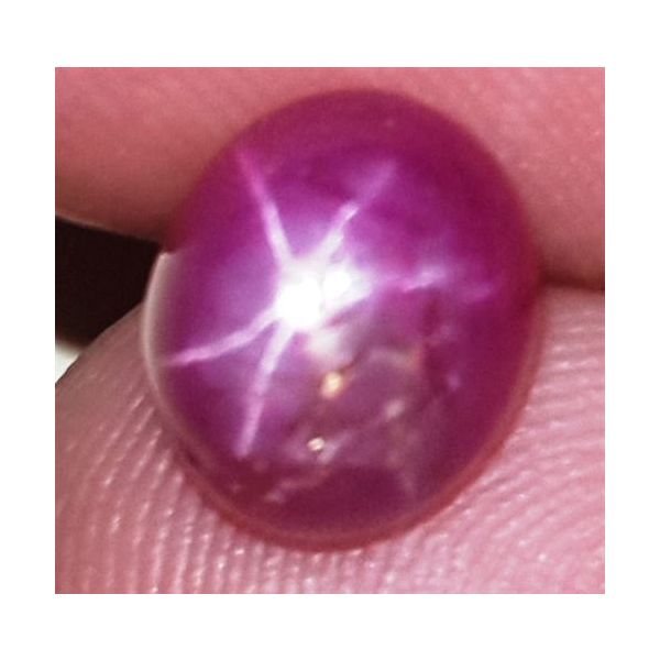 3.47 Carats African Star Ruby 7.96x6.81x5.53 mm