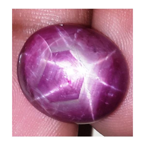 16.61 Carats African Star Ruby 16.48x14.23x6.37 mm
