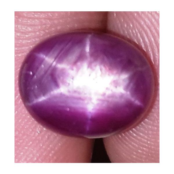 8.05 Carats African Star Ruby 10.68x8.60x7.16 mm