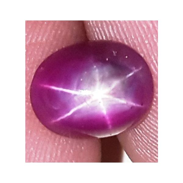 2.44 Carats African Star Ruby 8.20x6.47x4.15 mm