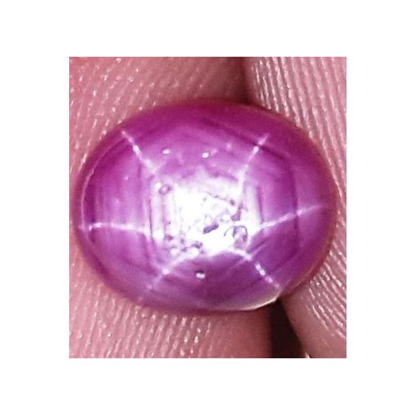 3.1 Carats African Star Ruby 8.37x6.97x4.62 mm