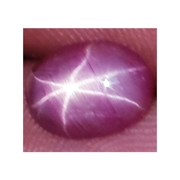 1.83 Carats African Star Ruby 8.34x6.13x3.17 mm