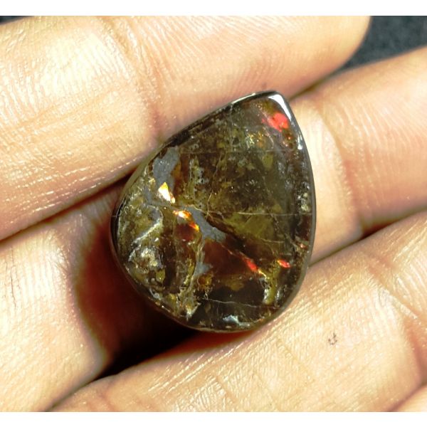 14.18 carat Natural Ammolite 19.40x15.60x4.94mm