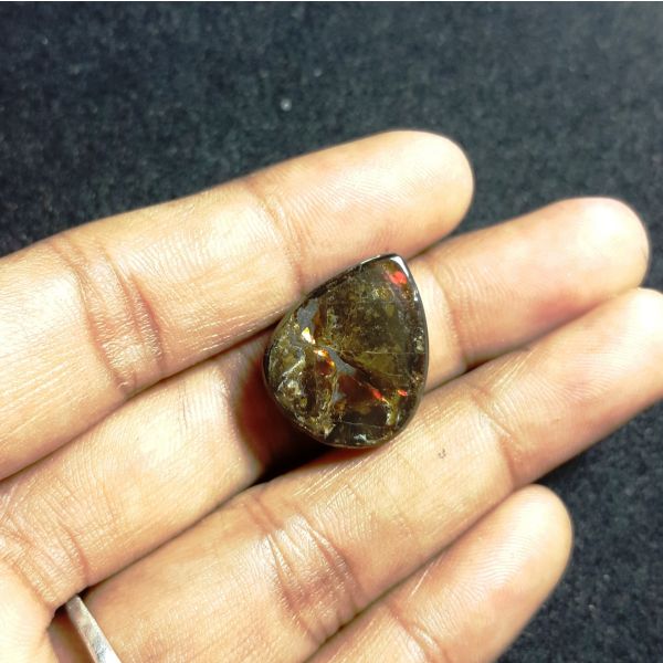14.18 carat Natural Ammolite 19.40x15.60x4.94mm
