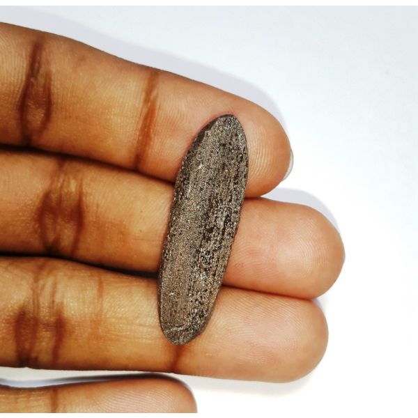 15.68 carats Natural Fossil wood 25.33x10.53x7.52mm