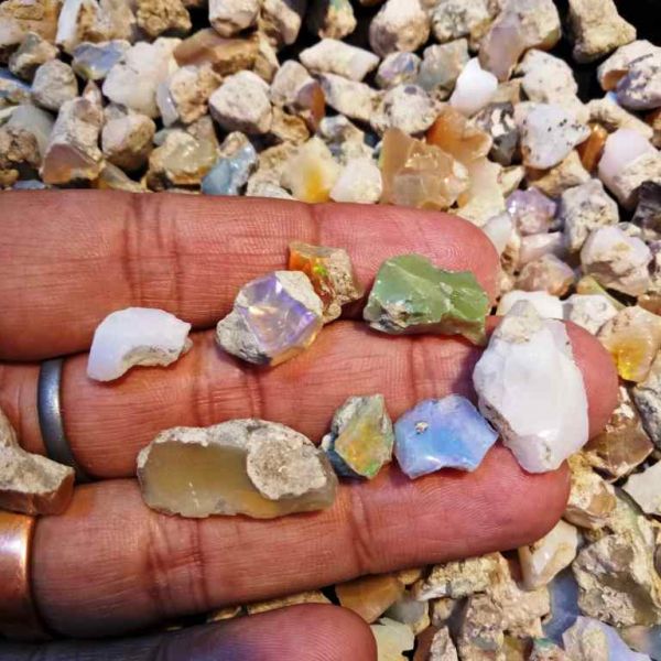 Opal Rough Wholesale Lot Gemstone 
