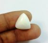 8.61 Carats Italian White Coral 15.84 x 14.55 x 4.59 mm