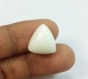 6.73 Carats Italian White Coral 14.09 x 13.63 x 5.21 mm