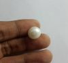 9.91 Carats South Sea Pearl 11.13 x 11.09 mm