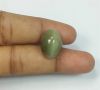 11.52 Carats Cat's Eye 15.77 x 11.58 x 8.76 mm