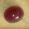 3.69 Carats Ruby Johnson Mines 9.21 X 7.58 X 4.82 mm