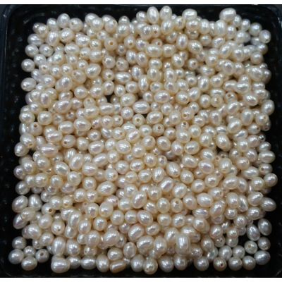 Round Shaped Fresh Water Pearl Undrilled 130/140_15