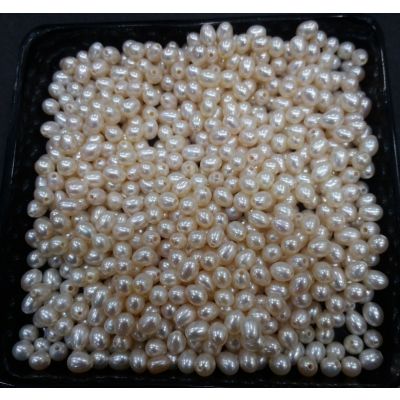Button Shaped Fresh Water Pearl Undrilled 107/110_23