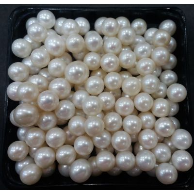 Round Shaped Fresh Water Pearl Half drilled 130/140_20