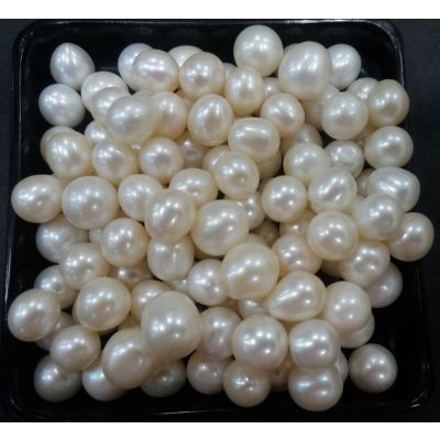 Round Shaped Fresh Water Pearl Undrilled 112/116_16
