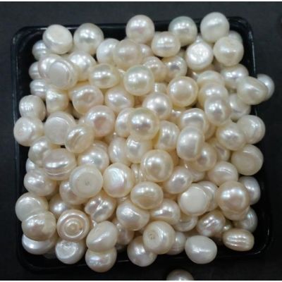 Button Shaped Fresh Water Pearl Undrilled 101.2_35.1