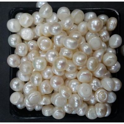 Button Shaped Fresh Water Pearl Undrilled 103.2.32.1