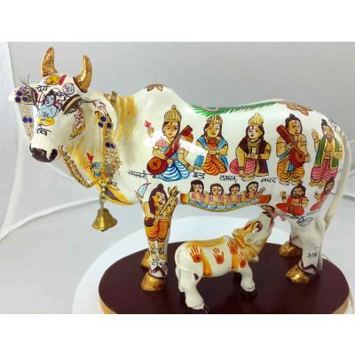 Kamdhenu Cow White Color with Calf A+ Quality