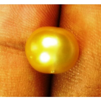 4.87 Carats Natural Golden Pearl 9.42 x  8.24 mm