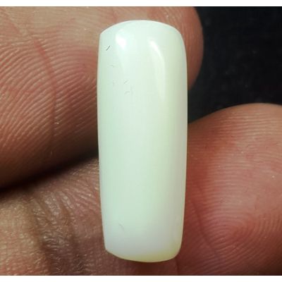 5.85 Carats Natural White Coral 18.40 x 6.80 x 5.96 mm