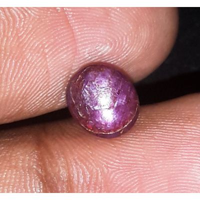 3.30 Carats Natural Red Star Ruby 7.76x6.80x5.24 mm