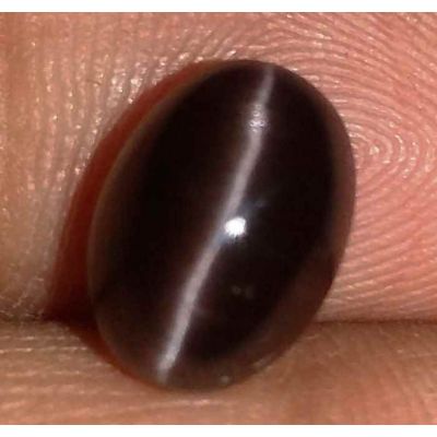 3.15 Carats Natural Spectrolite Cats Eye Oval Shaped Excellent Quality Gemstone