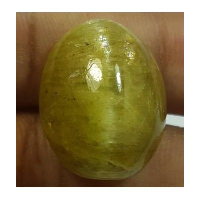 26.25 Carats Natural Apatite Cats Eye Oval Shape 19.17 x 15.22 x 11.20 mm