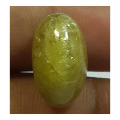 10.18 Carats Natural Apatite Cats Eye Oval Shape 14.89 x 8.73 x 9.15 mm