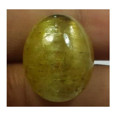19.00 Carats Natural Apatite Cats Eye Oval Shape 17.57 x 13.95 x 9.05 mm