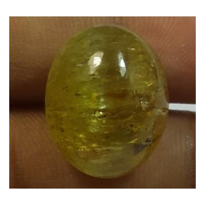 14.57 Carats Natural Apatite Cats Eye Oval Shape 15.77 x 12.68 x 9.00 mm