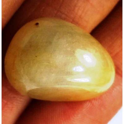 31.55 Carats Yellow Cabs Sapphire 19.36 x 12.58 x 11.49 mm